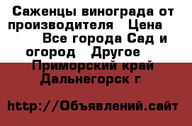 Саженцы винограда от производителя › Цена ­ 800 - Все города Сад и огород » Другое   . Приморский край,Дальнегорск г.